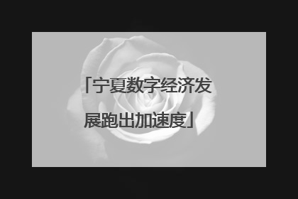 宁夏数字经济发展跑出加速度