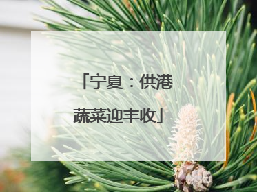 宁夏：供港蔬菜迎丰收
