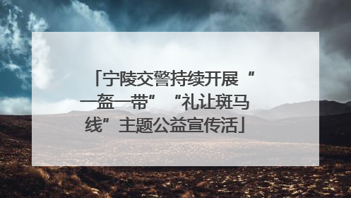 宁陵交警持续开展“一盔一带”“礼让斑马线”主题公益宣传活