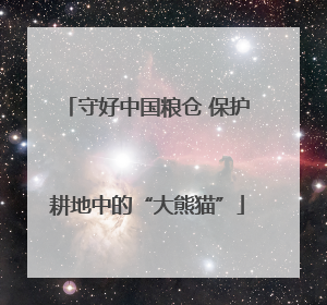 守好中国粮仓 保护耕地中的“大熊猫”