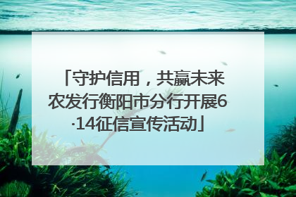 守护信用，共赢未来 农发行衡阳市分行开展6·14征信宣传活动