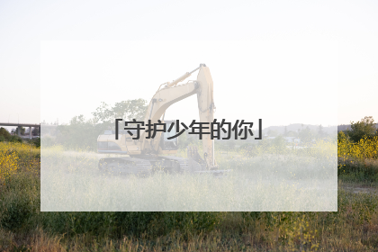 守护少年的你