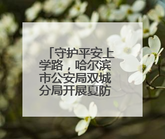守护平安上学路，哈尔滨市公安局双城分局开展夏防行动