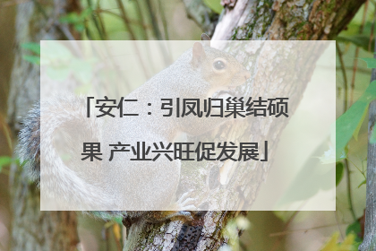安仁：引凤归巢结硕果 产业兴旺促发展