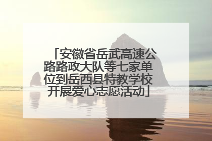 安徽省岳武高速公路路政大队等七家单位到岳西县特教学校开展爱心志愿活动
