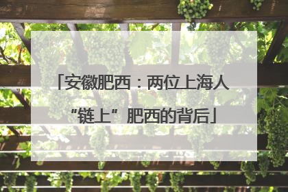 安徽肥西：两位上海人“链上”肥西的背后