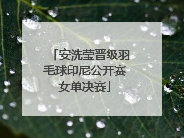 安洗莹晋级羽毛球印尼公开赛女单决赛