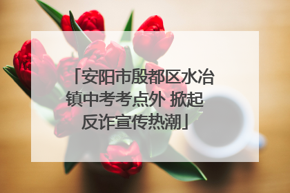 安阳市殷都区水冶镇中考考点外 掀起反诈宣传热潮