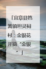 宜章县笆篱镇坦灵祠村：金银花开摘“金银”