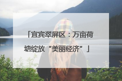 宜宾翠屏区：万亩荷塘绽放“美丽经济”
