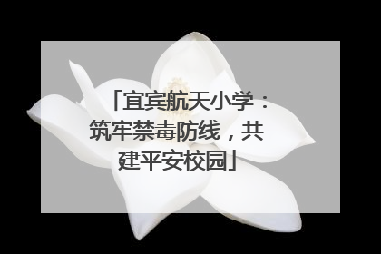 宜宾航天小学：筑牢禁毒防线，共建平安校园