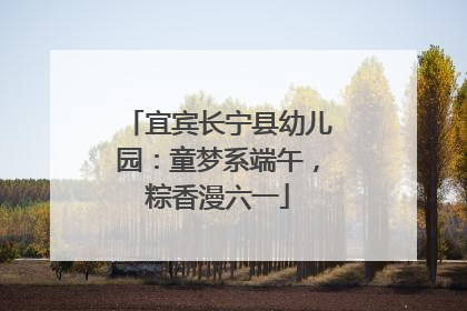 宜宾长宁县幼儿园：童梦系端午，粽香漫六一