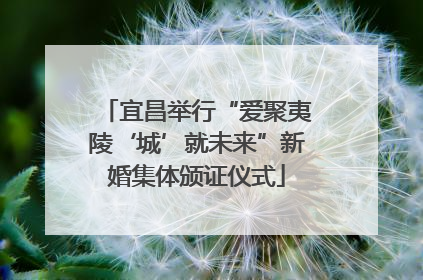 宜昌举行“爱聚夷陵‘城’就未来”新婚集体颁证仪式