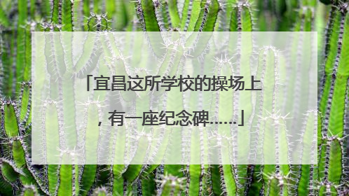 宜昌这所学校的操场上，有一座纪念碑……