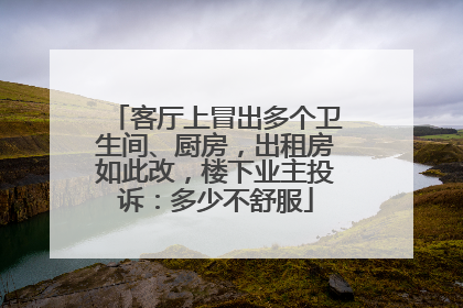 客厅上冒出多个卫生间、厨房，出租房如此改，楼下业主投诉：多少不舒服