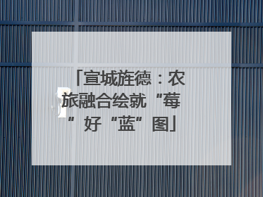宣城旌德：农旅融合绘就“莓”好“蓝”图