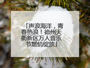 声浪海洋，青春热浪！德州天衢新区万人音乐节燃情绽放