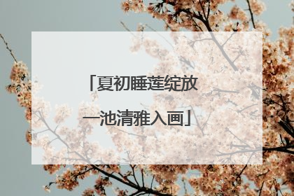 夏初睡莲绽放 一池清雅入画