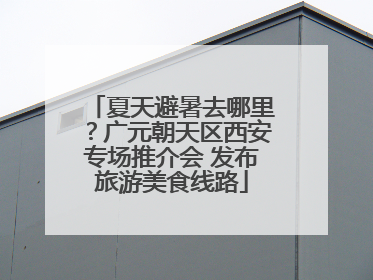 夏天避暑去哪里？广元朝天区西安专场推介会 发布旅游美食线路