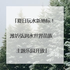 夏日玩水新地标！潍坊弘润水世界苗族主题乐园开放