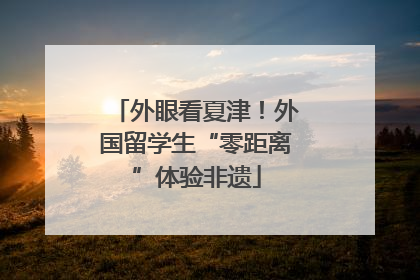 外眼看夏津！外国留学生“零距离”体验非遗