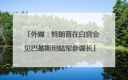 外媒：特朗普在白宫会见巴基斯坦陆军参谋长