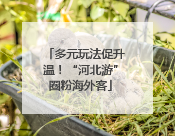 多元玩法促升温！“河北游”圈粉海外客