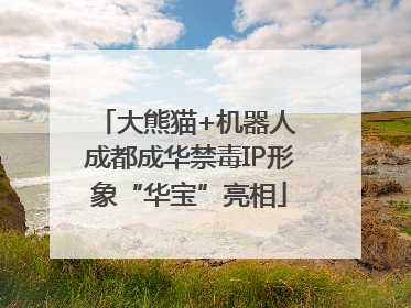 大熊猫+机器人 成都成华禁毒IP形象“华宝”亮相