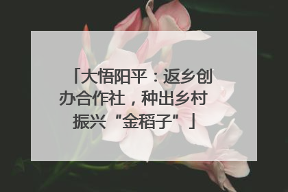 大悟阳平：返乡创办合作社，种出乡村振兴“金稻子”