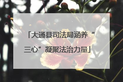 大通县司法局涵养“三心”凝聚法治力量