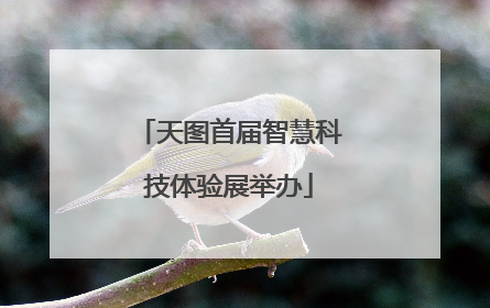 天图首届智慧科技体验展举办