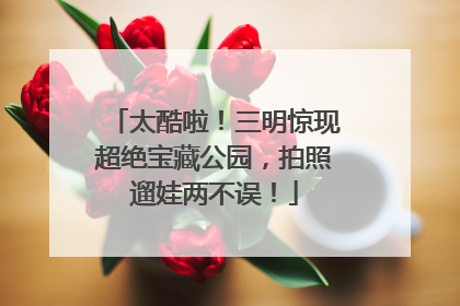 太酷啦！三明惊现超绝宝藏公园，拍照遛娃两不误！