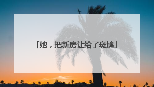 她，把新房让给了斑鸠