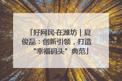 好网民·在潍坊｜夏俊磊：创新引领，打造“幸福码头”典范