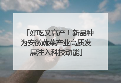 好吃又高产！新品种为安徽蔬菜产业高质发展注入科技动能