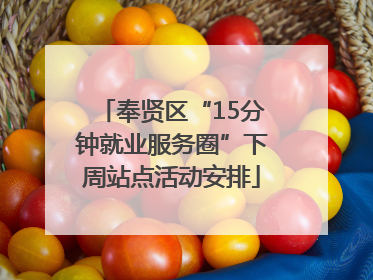奉贤区“15分钟就业服务圈”下周站点活动安排