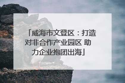 威海市文登区：打造对非合作产业园区 助力企业抱团出海