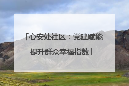 心安处社区：党建赋能 提升群众幸福指数
