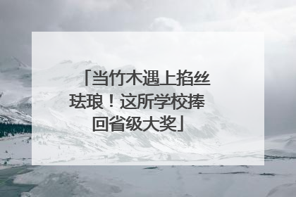 当竹木遇上掐丝珐琅！这所学校捧回省级大奖