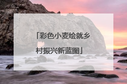彩色小麦绘就乡村振兴新蓝图