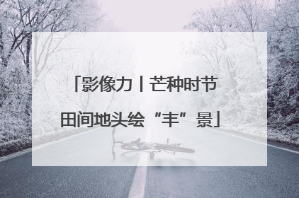 影像力丨芒种时节 田间地头绘“丰”景