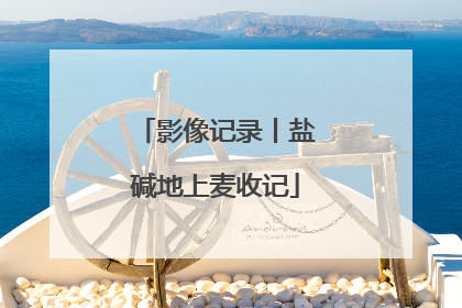 影像记录丨盐碱地上麦收记