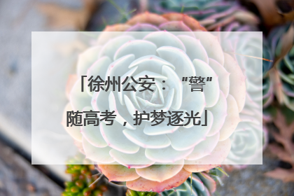 徐州公安：“警”随高考，护梦逐光