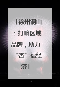 徐州铜山：打响区域品牌，助力“杏”福经济