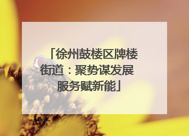 徐州鼓楼区牌楼街道：聚势谋发展 服务赋新能