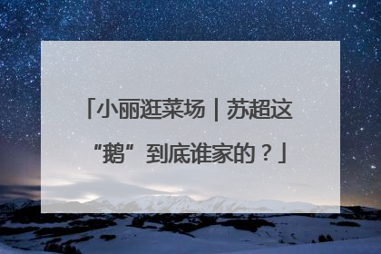 小丽逛菜场｜苏超这“鹅”到底谁家的？