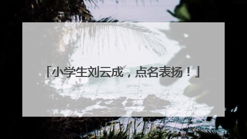 小学生刘云成，点名表扬！