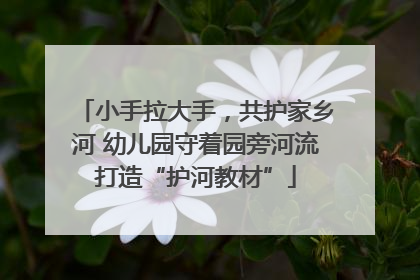 小手拉大手，共护家乡河 幼儿园守着园旁河流打造“护河教材”