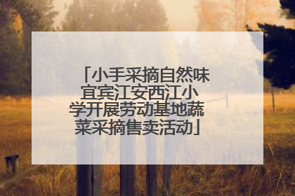 小手采摘自然味 宜宾江安西江小学开展劳动基地蔬菜采摘售卖活动