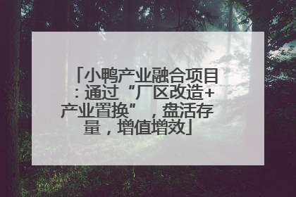 小鸭产业融合项目：通过“厂区改造+产业置换”，盘活存量，增值增效